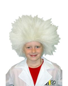 Mad Professor / Mad Scientist Wig - Child Wig (WI50273WH)
